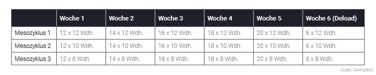 Anzahl wöchentlicher Trainingssätze pro Muskelgruppe bei zwei Trainingseinheiten pro Muskelgruppe pro Woche