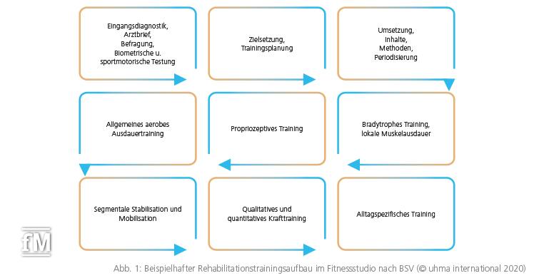 Abb. 1: Beispielhafter Rehabilitationstrainingsaufbau im Fitnessstudio nach BSV (© uhma international 2020)