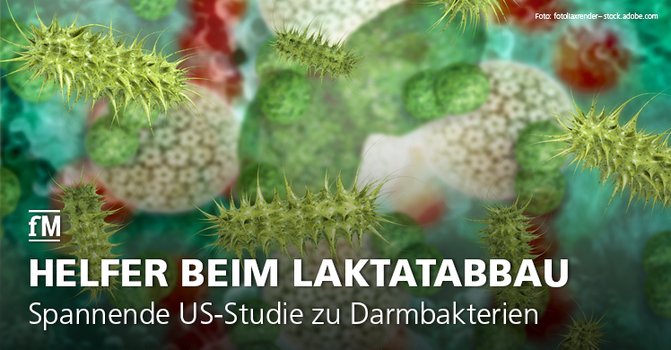 Spannende US-Studie zu Darmbakterien und ihre Rolle im Leistungssport bei Ausdauersportlern wie etwa Marathonläufern.