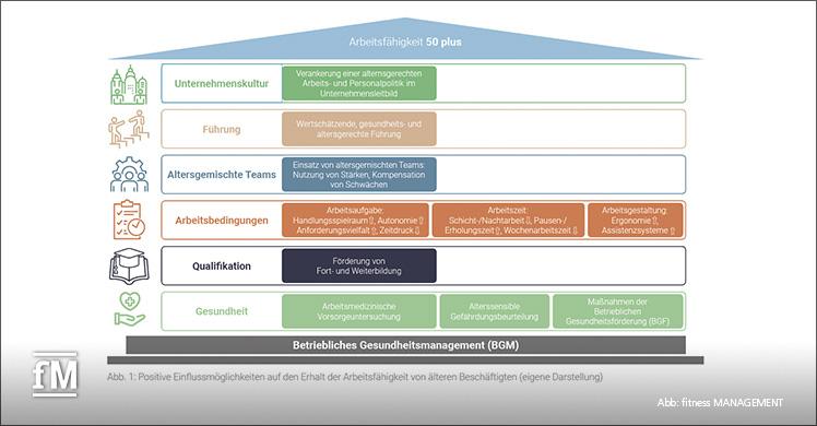 Positive Einflussmöglichkeiten auf den Erhalt der Arbeitsfähigkeit von älteren Beschäftigten (eigene Darstellung)