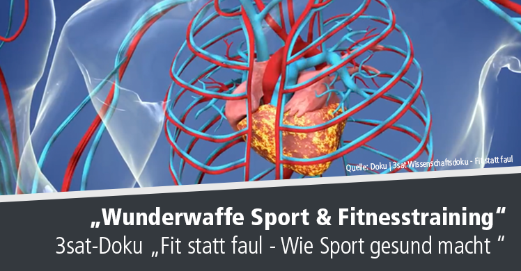 Spannende 3sat-Dokumentation 'Fit statt faul – Wie Sport gesund macht'.