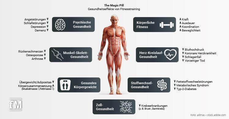 Evidenzbasierte Gesundheitseffekte der 'Polypille' Fitnesstraining (Kraft- und Ausdauertraining) (modifiziert nach ACSM, 2021; PAGAC, 2008, 2018; USDHHS, 2018; WHO, 2020)