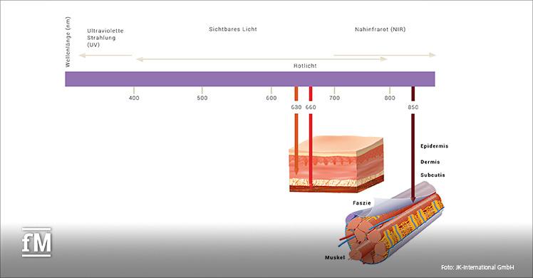 Wirkung von Rotlicht und Nahinfrarot