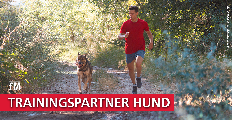 Joggen mit Hund: Ein paar Grundregeln gilt es zu beachten – Tipps vom Hundetrainer.