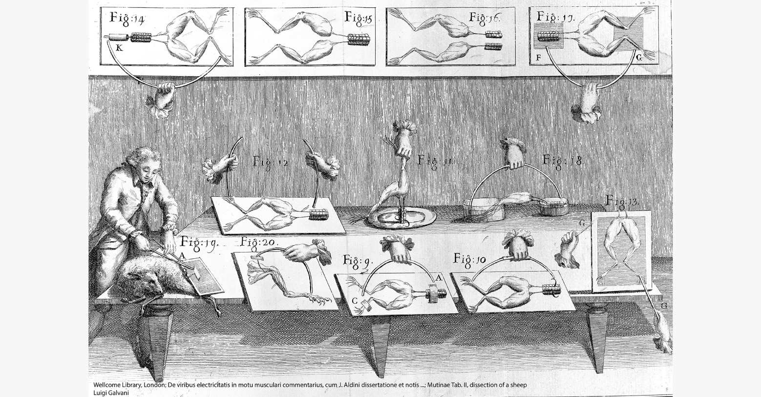 Luigi Galvani entdeckte das Phänomen, das die Grundlage der modernen Elektrophysiologie bildet. Wellcome Library London; De viribus electricitatis – Luigi Galvani