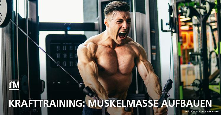 Krafttraining: Muskelmasse aufbauen – die besten Tipps zur Trainingshäufigkeit von Krafttraining.