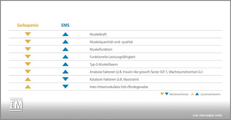 Sarkopenie mit Medizinischer EMS behandeln