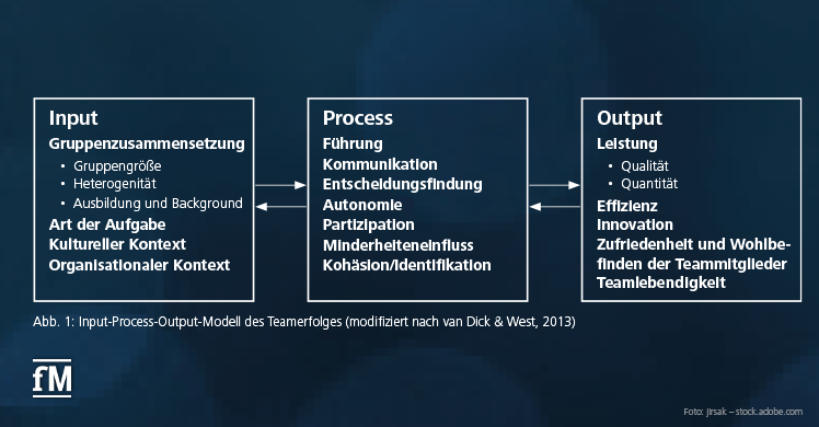 Abb. 1: Input-Process-Output-Modell des Teamerfolges (modifiziert nach van Dick & West, 2013)